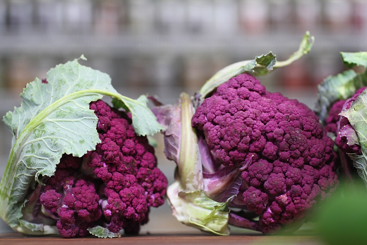 cauliflower.jpeg