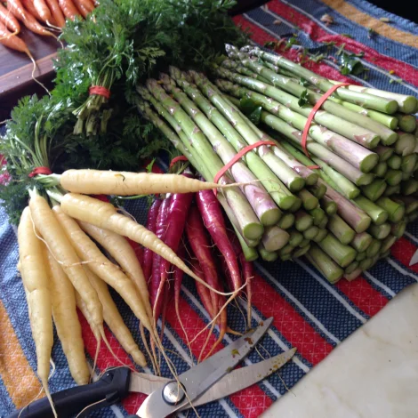 biodynamic vegetables.jpg