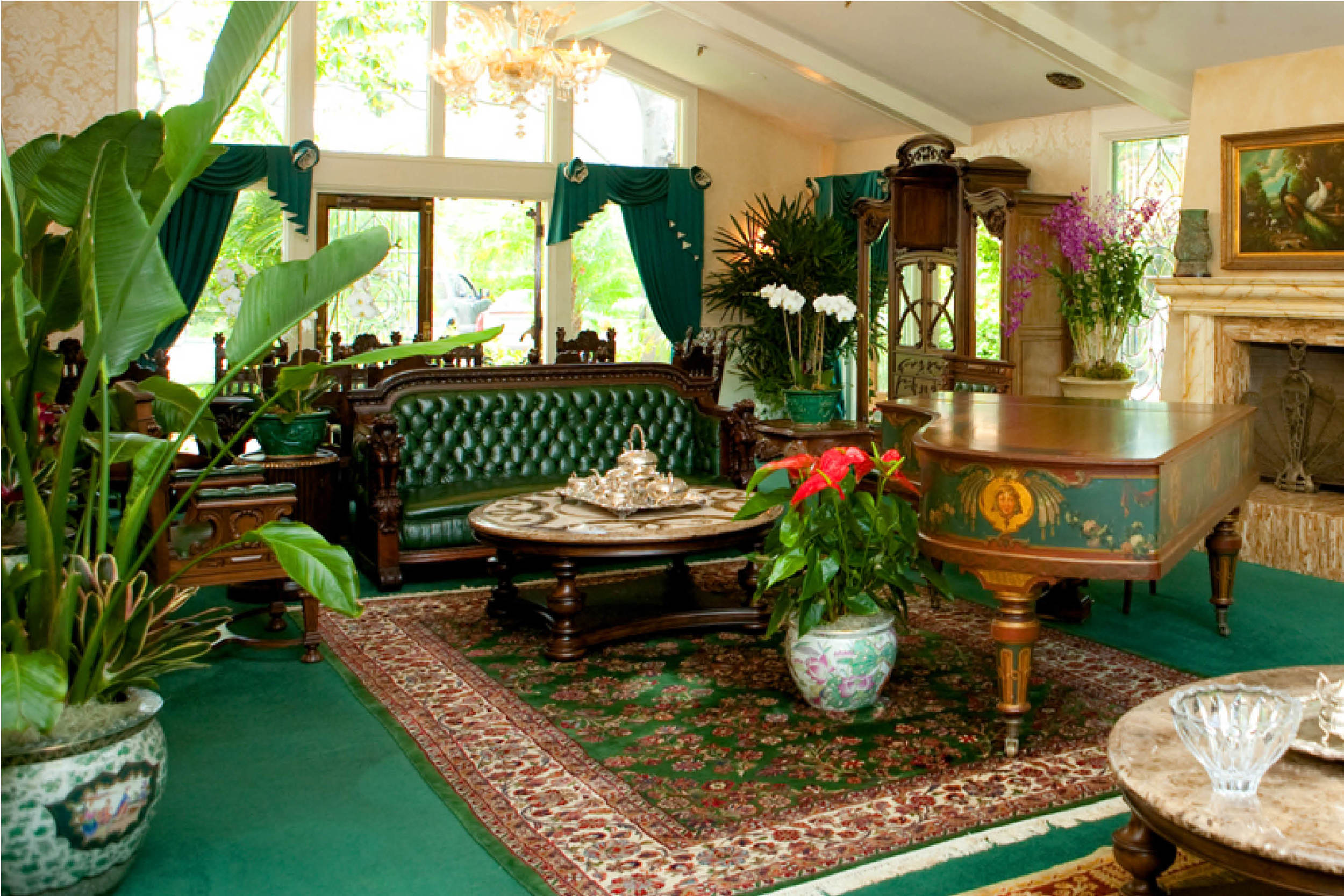 the-village-gardener-home-business-plant-design-interior-orchids-santa-barbara-carpinteria-losangeles-pasadena-santaynez (2).jpg