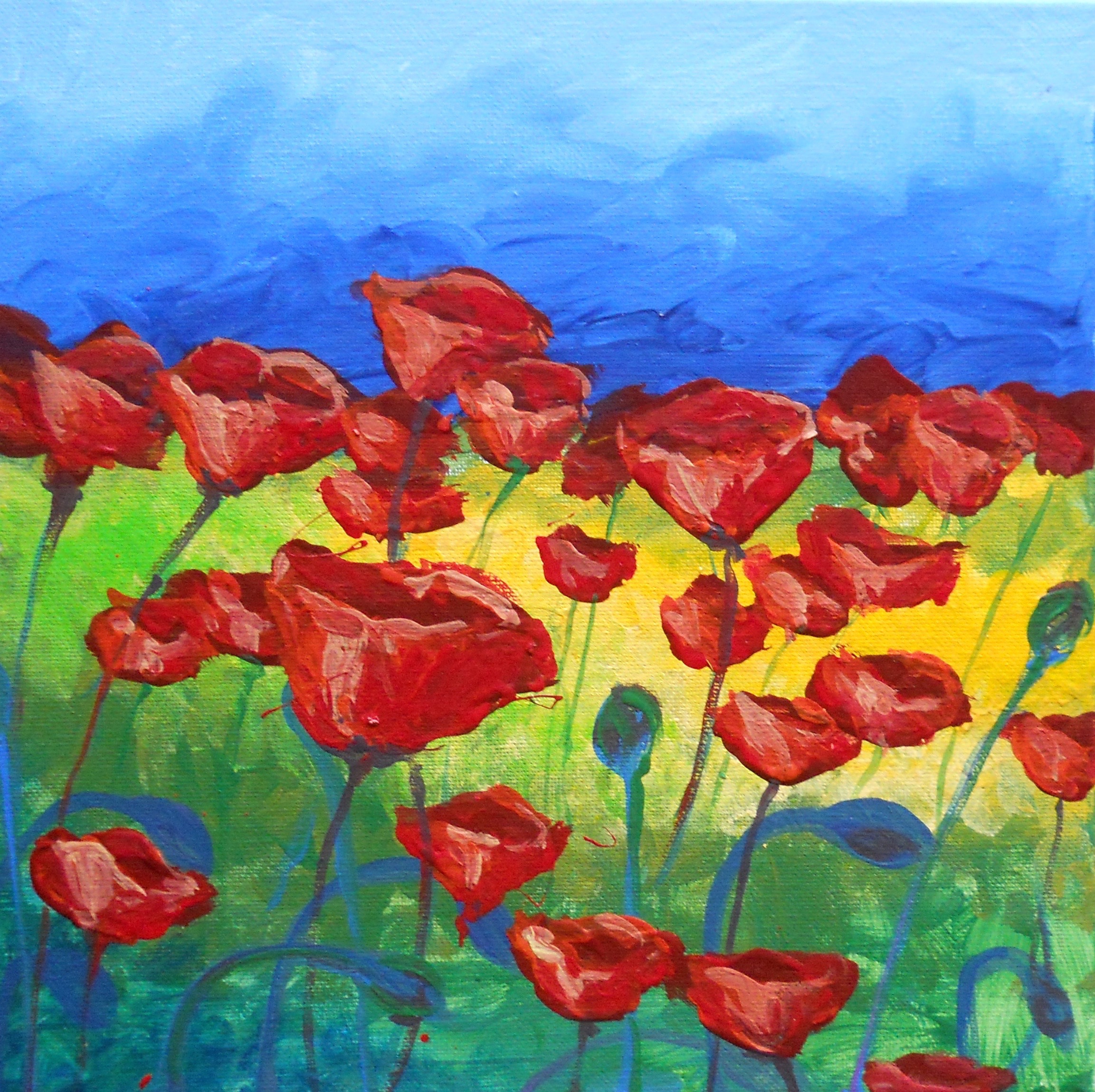 POPPIES IN PRIMARY COLORS / Public - Glide, OR