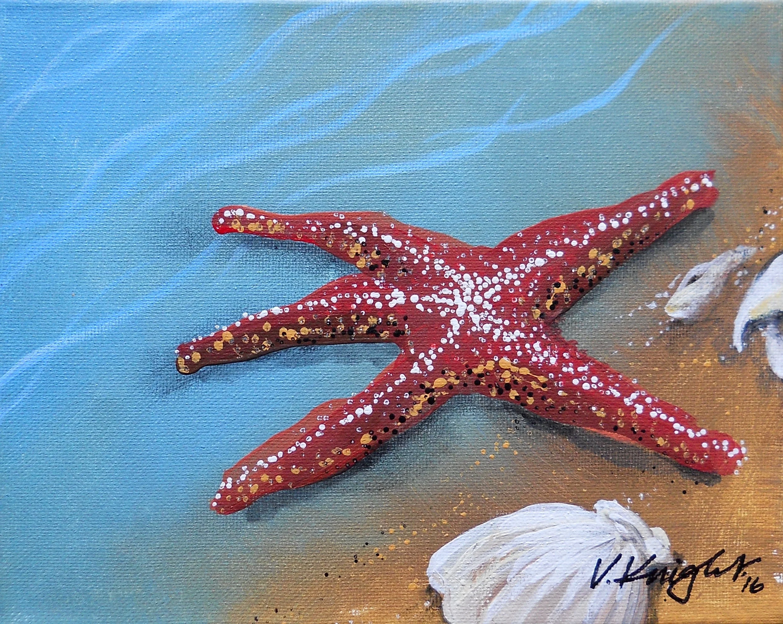 STARFISH AND FRIENDS / Public - Glide, OR