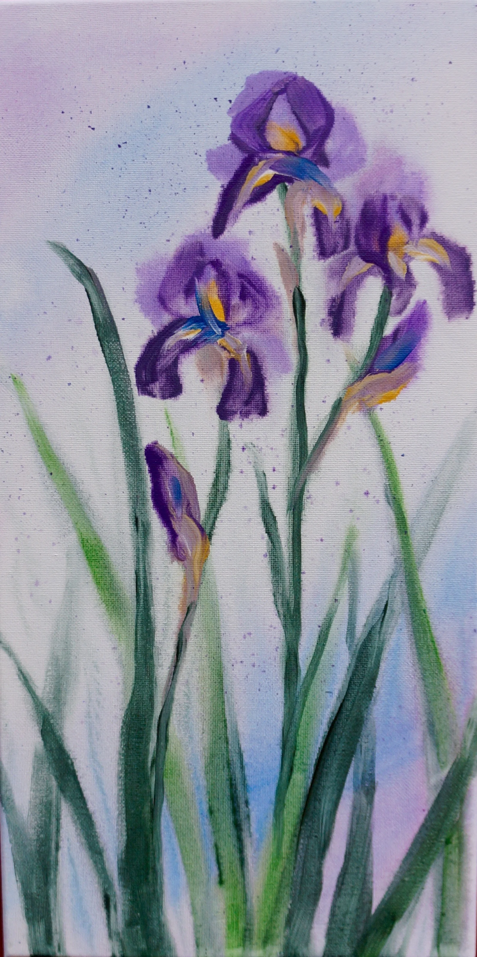 IRIS SOFT / Public / Beavercreek, OR