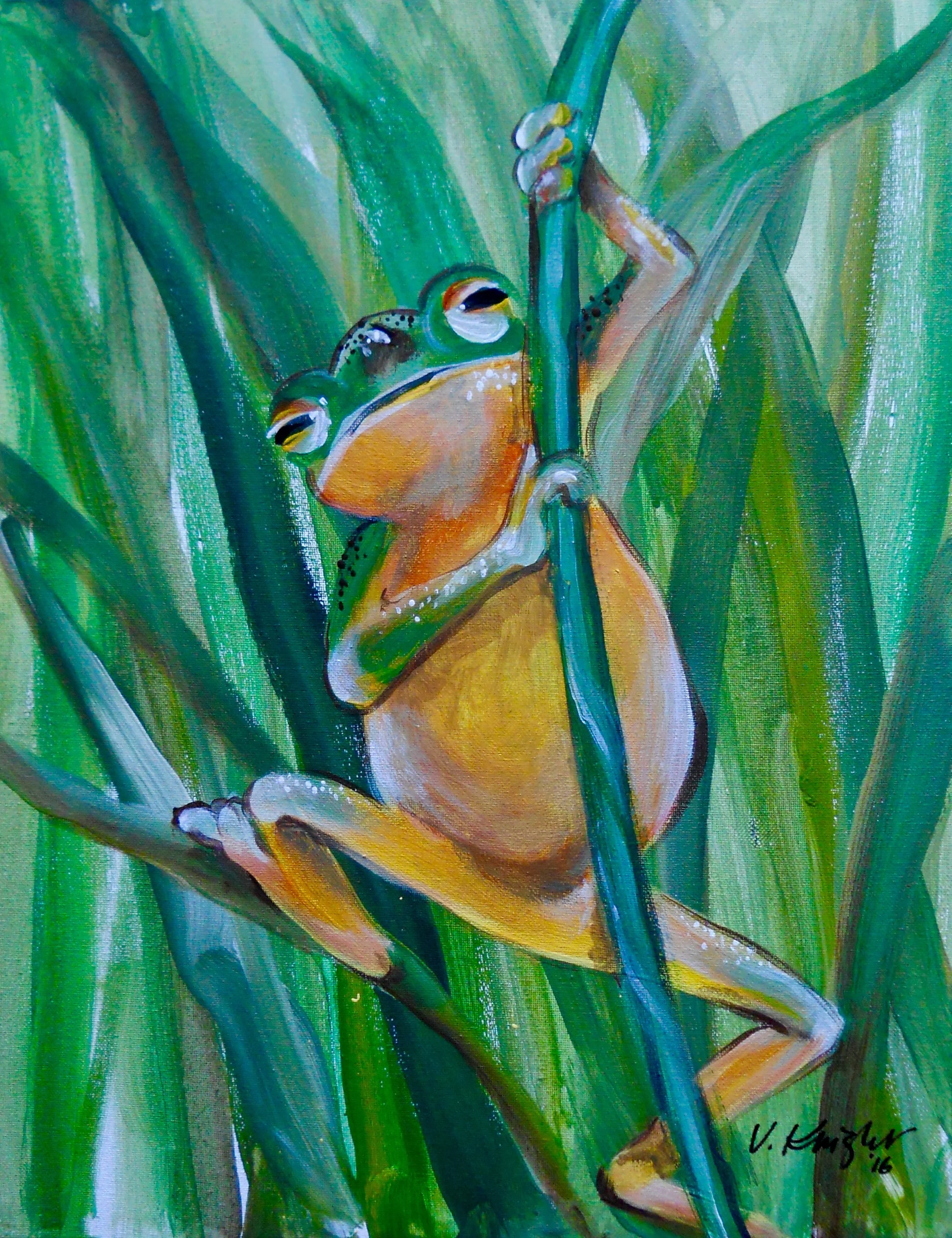 Señor Frog / Public - Beavercreek, Oregon