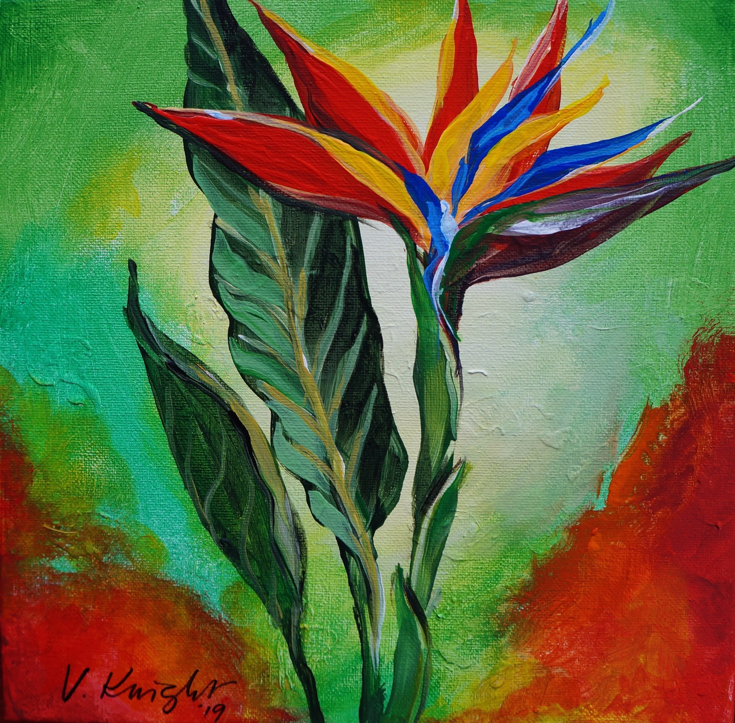 Bird of Paradise