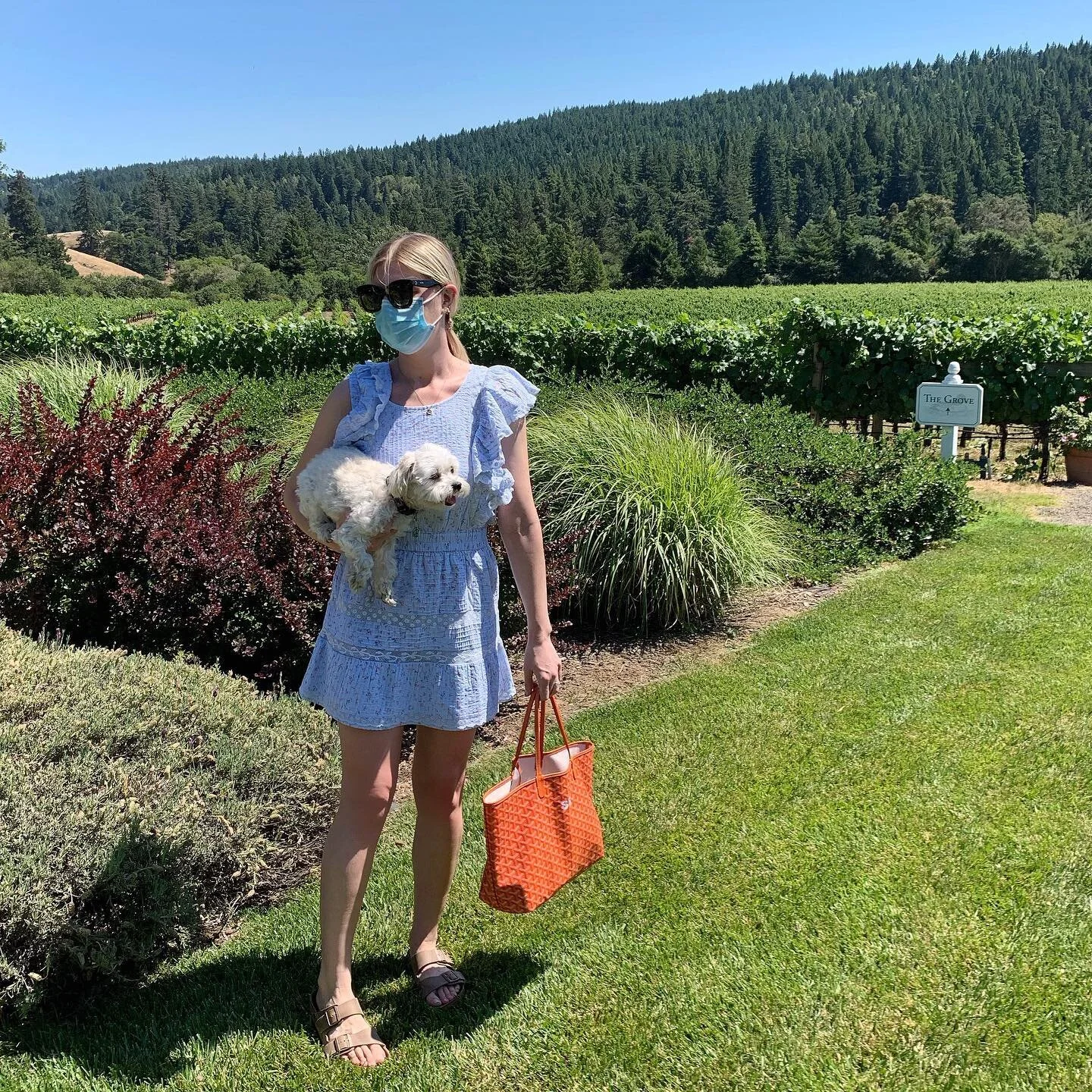 Not back to normal, but I&rsquo;ll take it 👌🏻 #AndersonValley #OOTD #WIW #Henri #Maltipoo #Birkenstock #LoveShackFancy #Goyard #Celine #FashionBlogger #InstaFashion #RegalSiegel