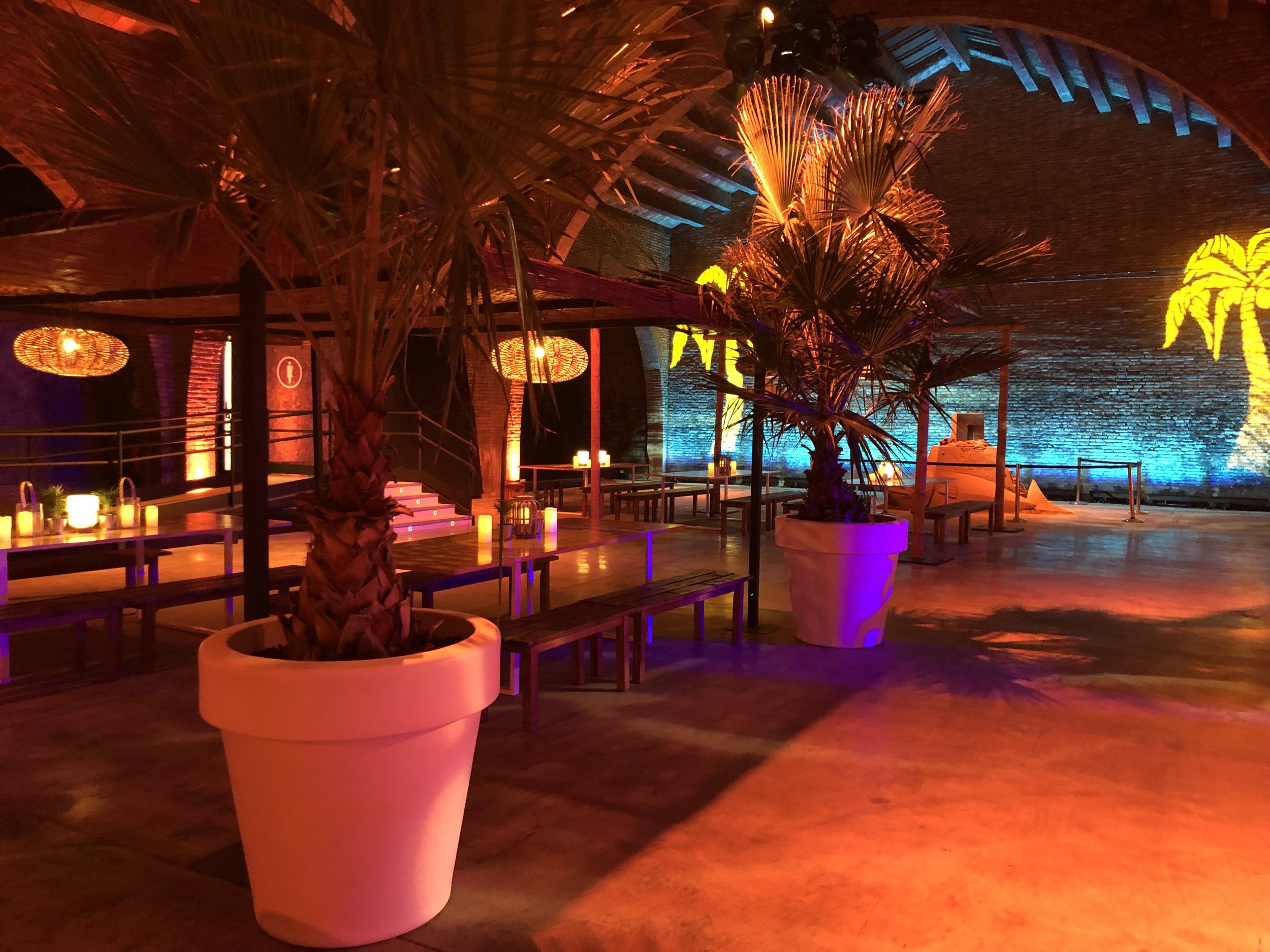 ZONE: SUNSET BEACH (Copy)