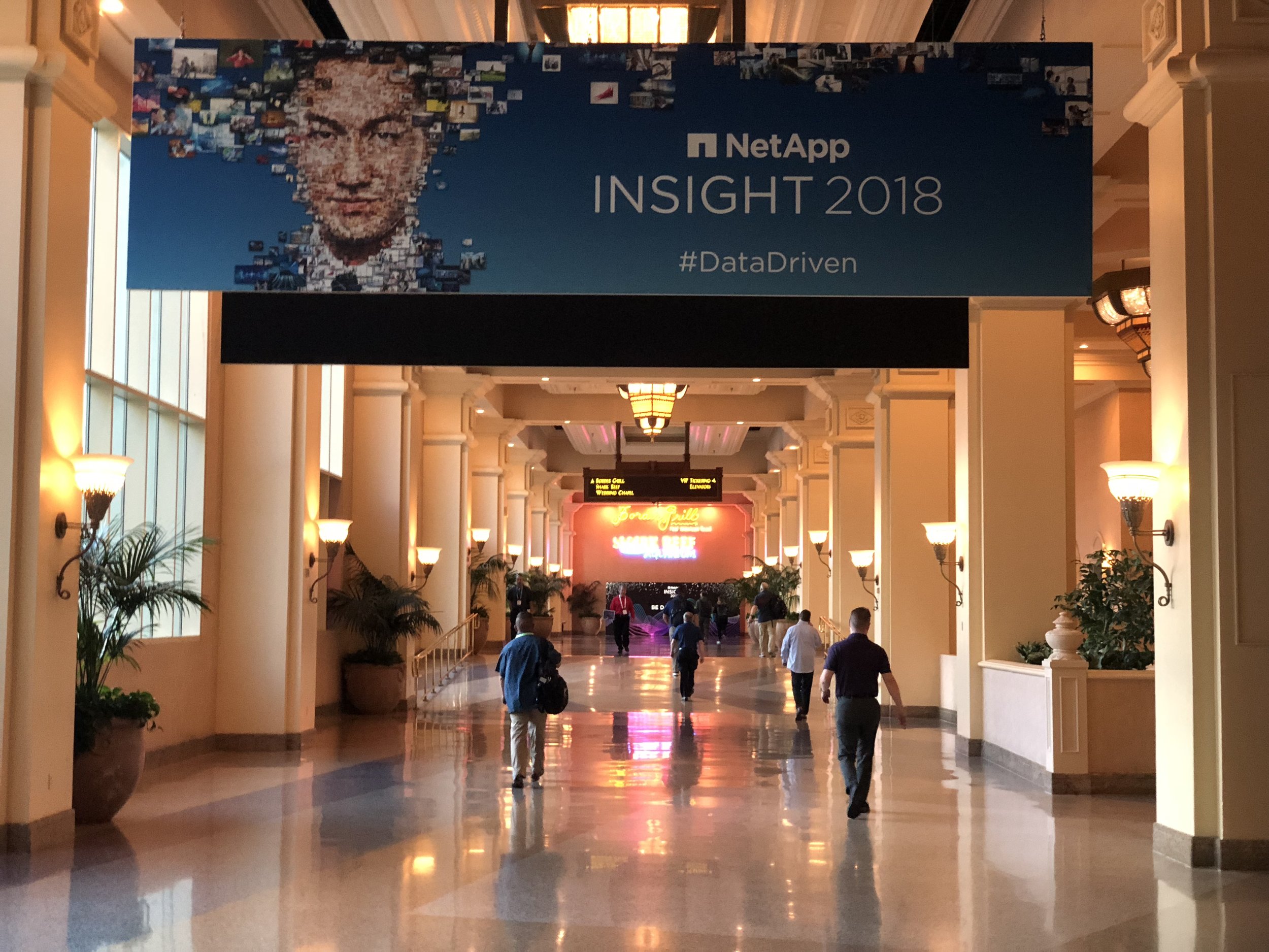 INSIGHT 2018 (Copy)
