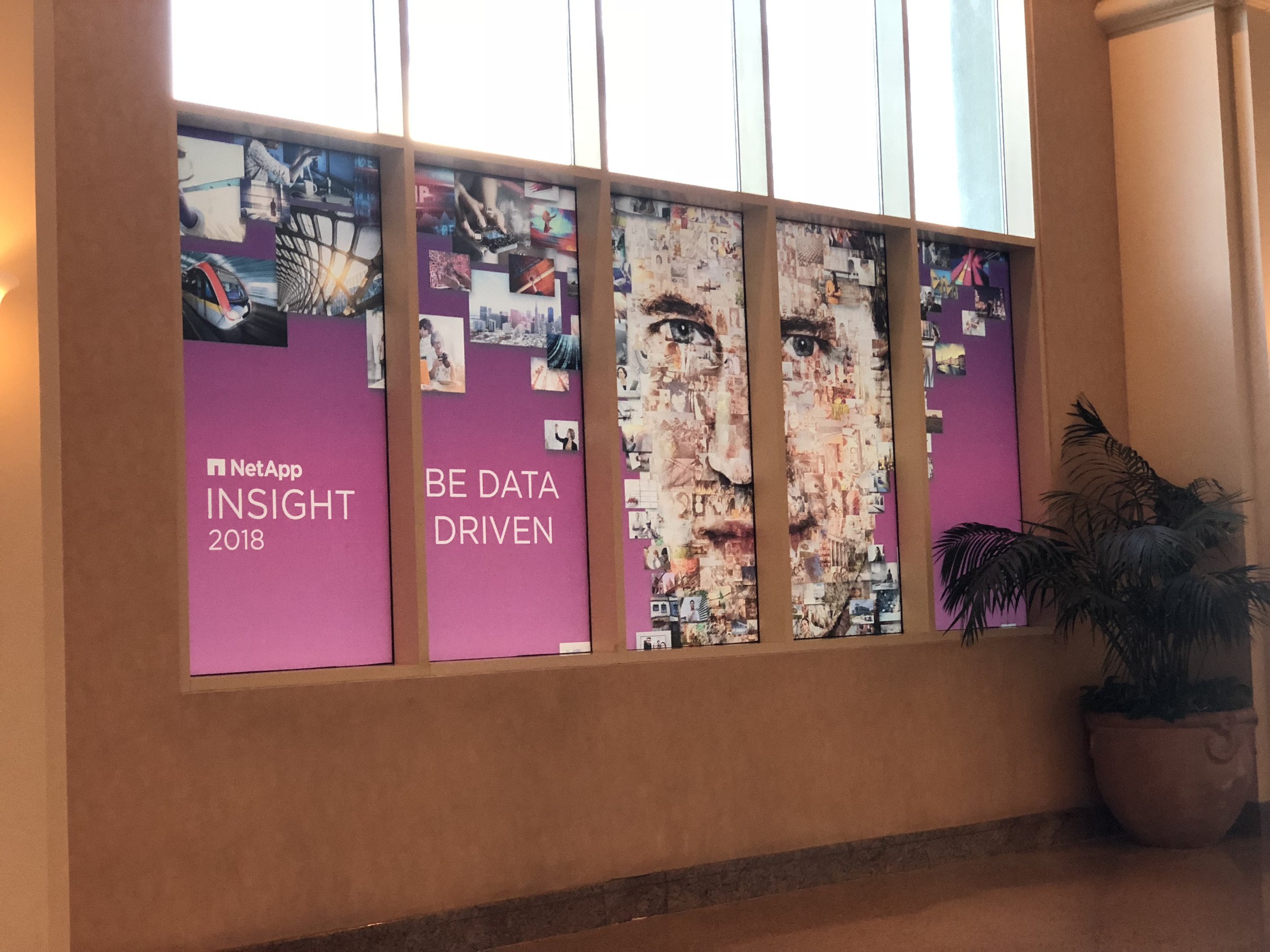 INSIGHT 2018 (Copy)