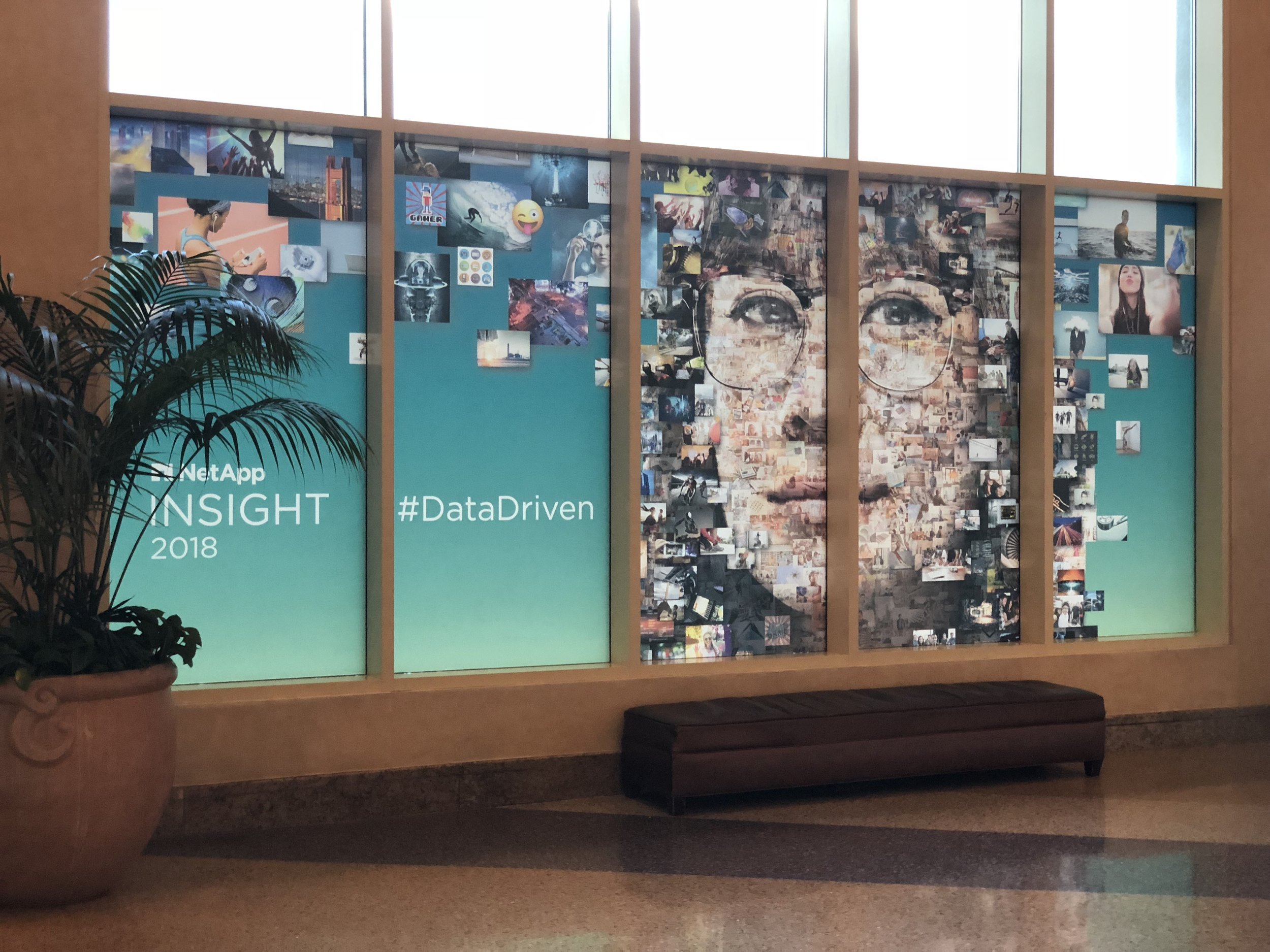INSIGHT 2018 (Copy)