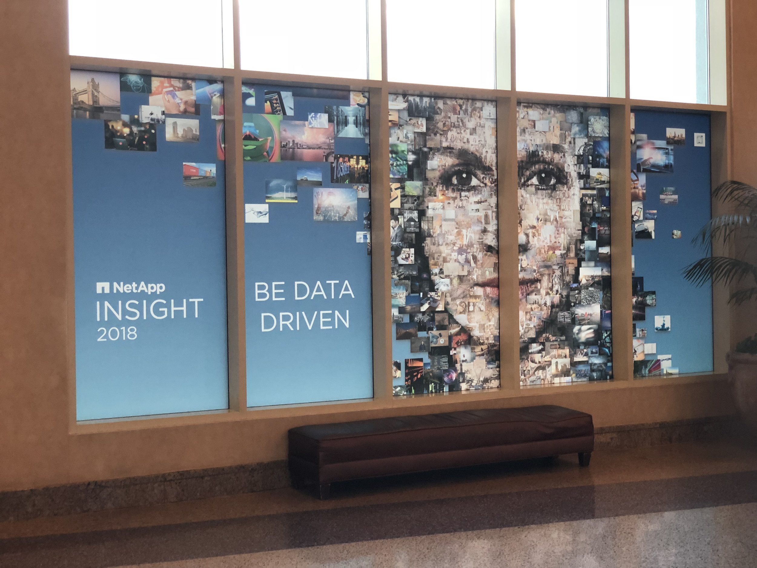 INSIGHT 2018 (Copy)