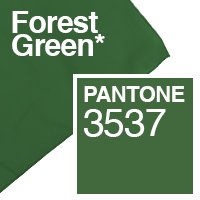 FOREST-GREEN.jpg