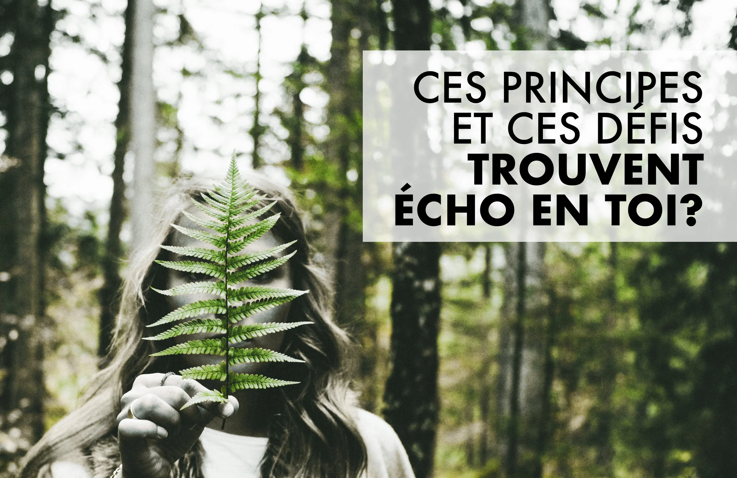 echo-en-toi2.jpg