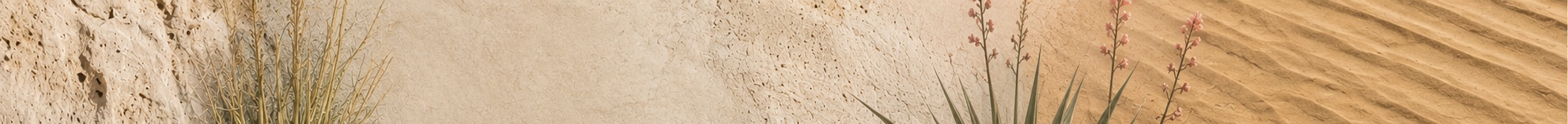 desert_banner_1 (1).png