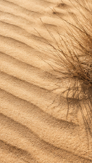 texture-09.png