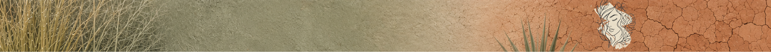 desert_banner_41.png