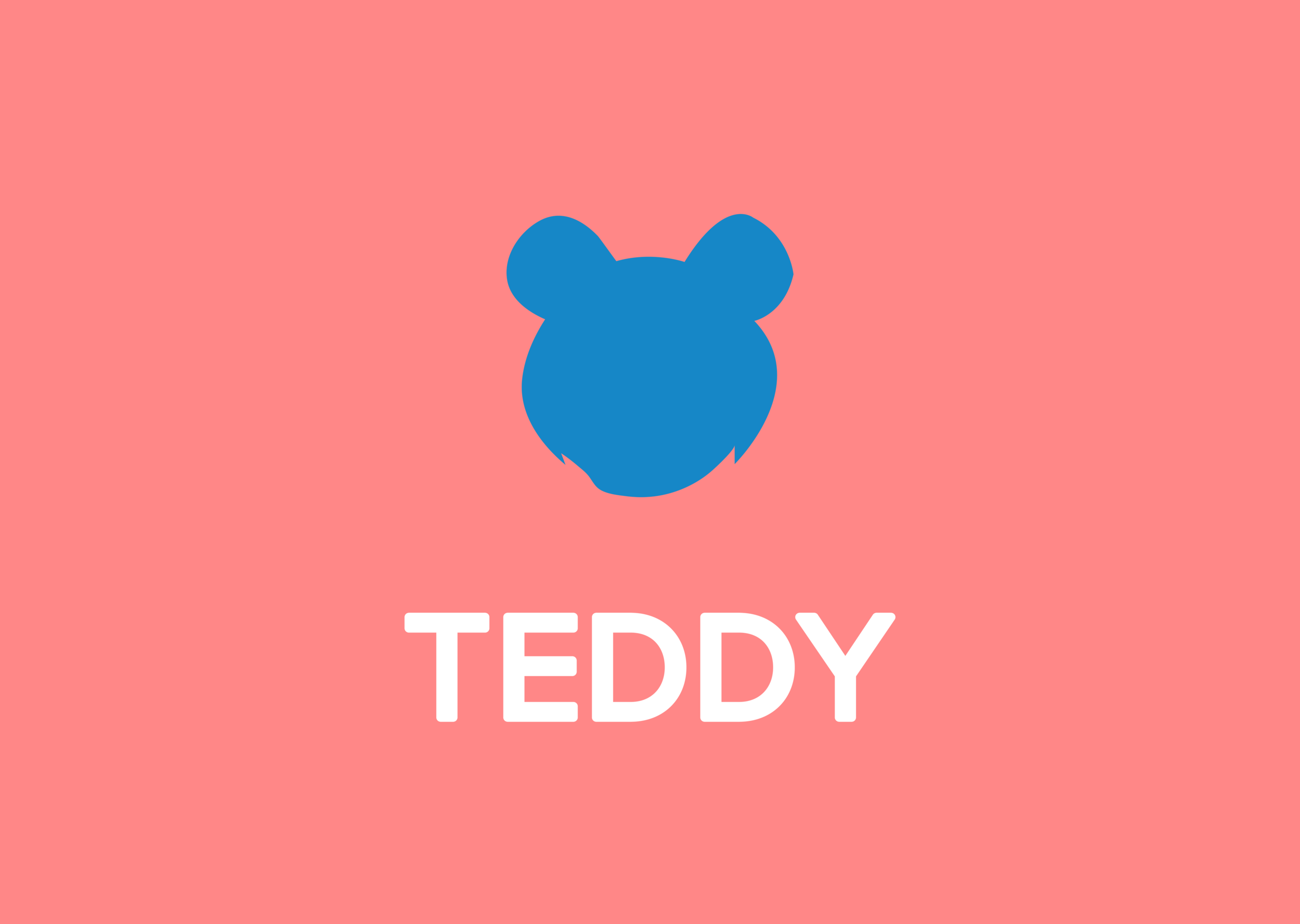 Teddy Copy 2.png