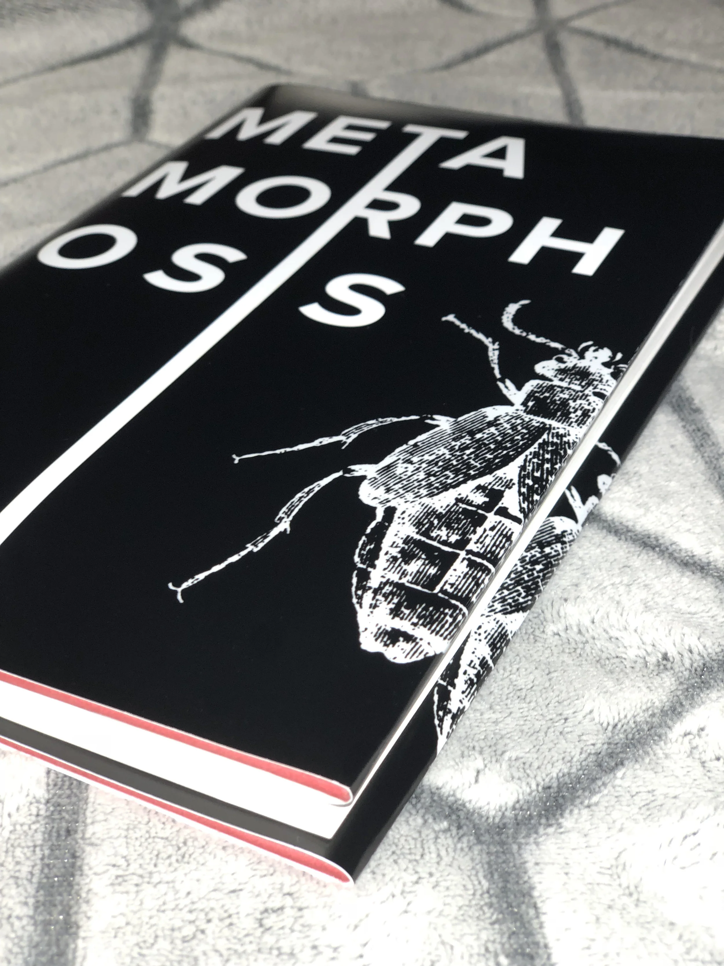 2_Metamorphosis.jpeg