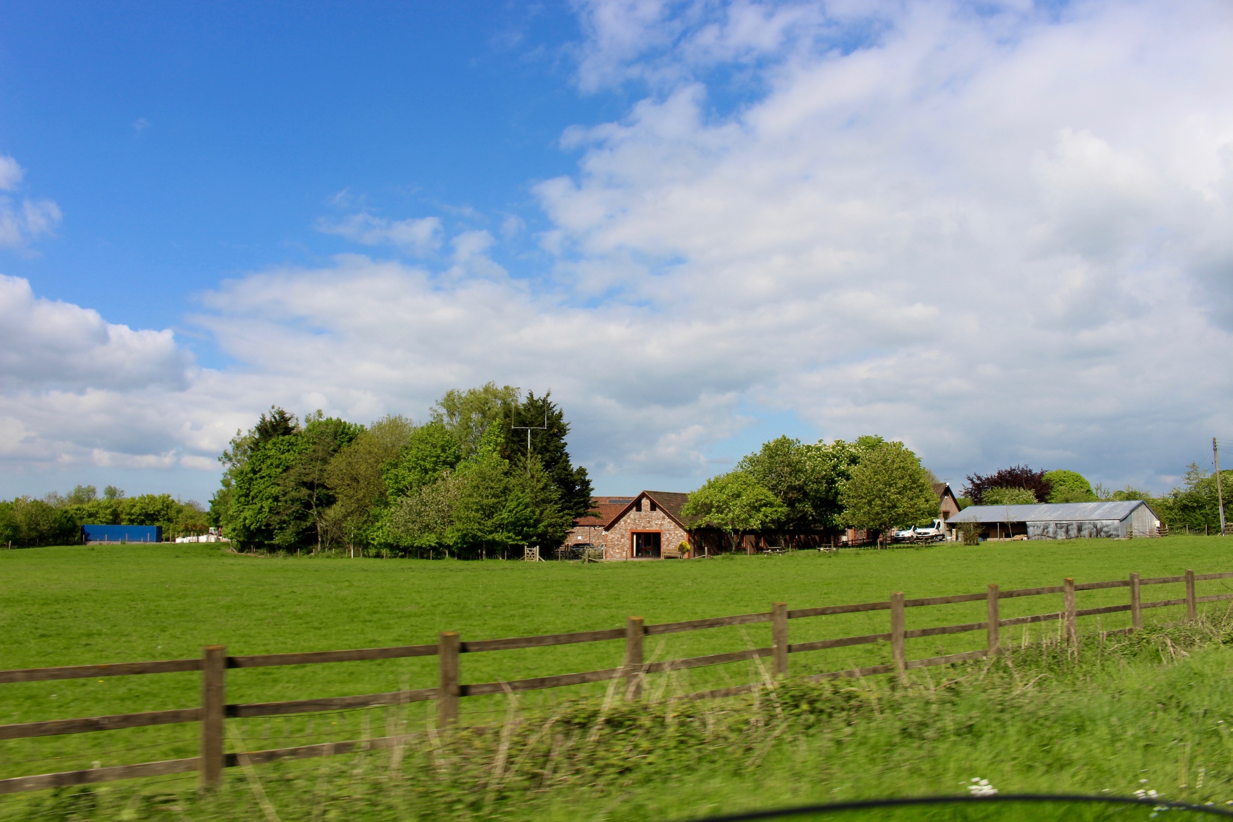 IMG_2655.jpg