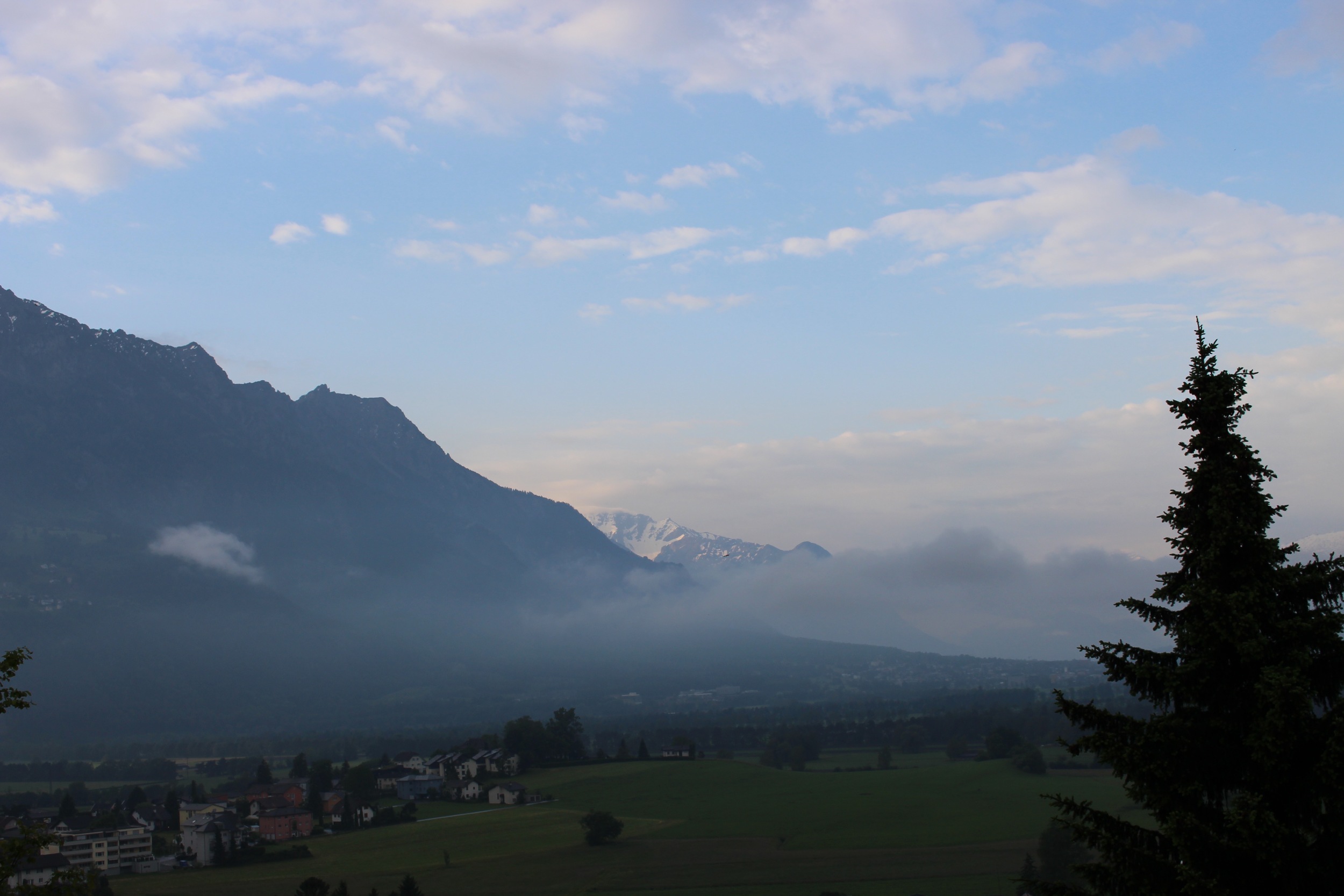 IMG_3939.jpg