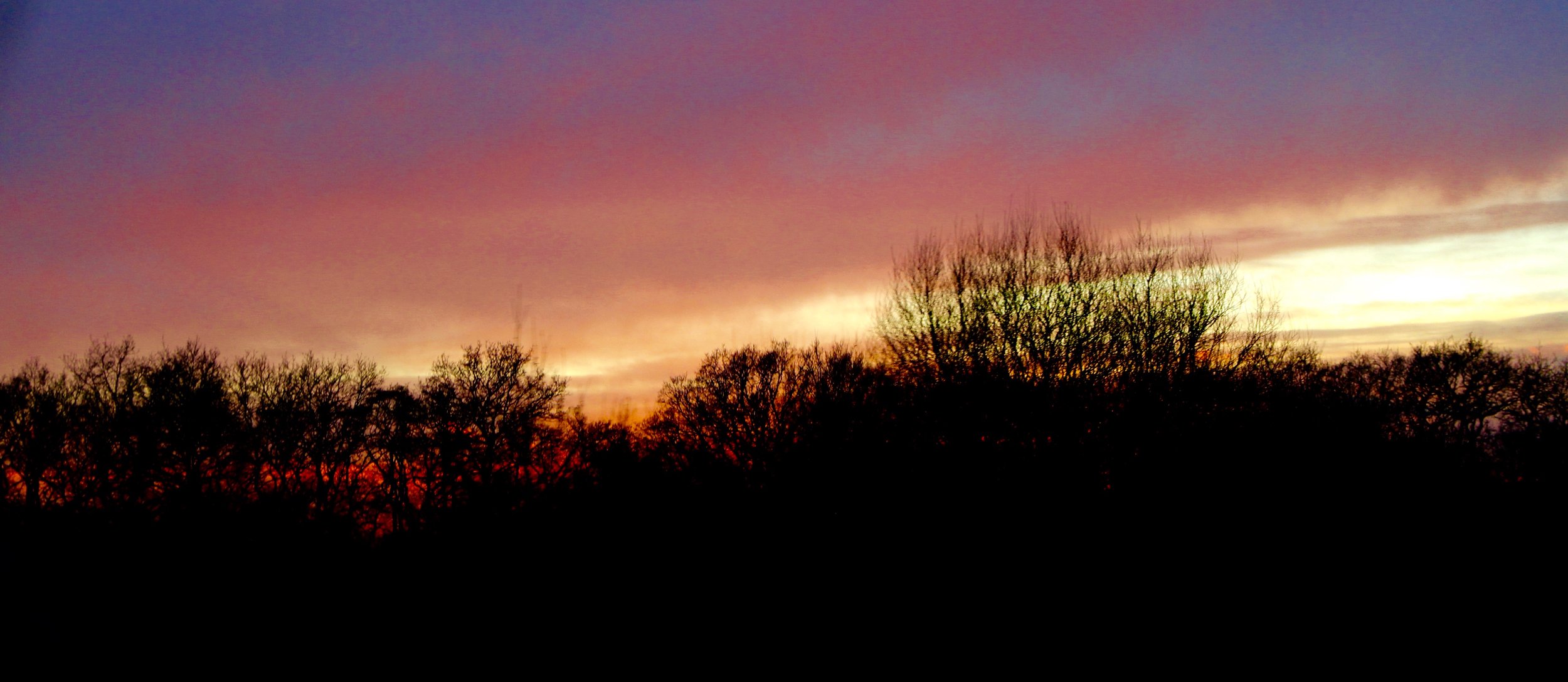 pinky orange