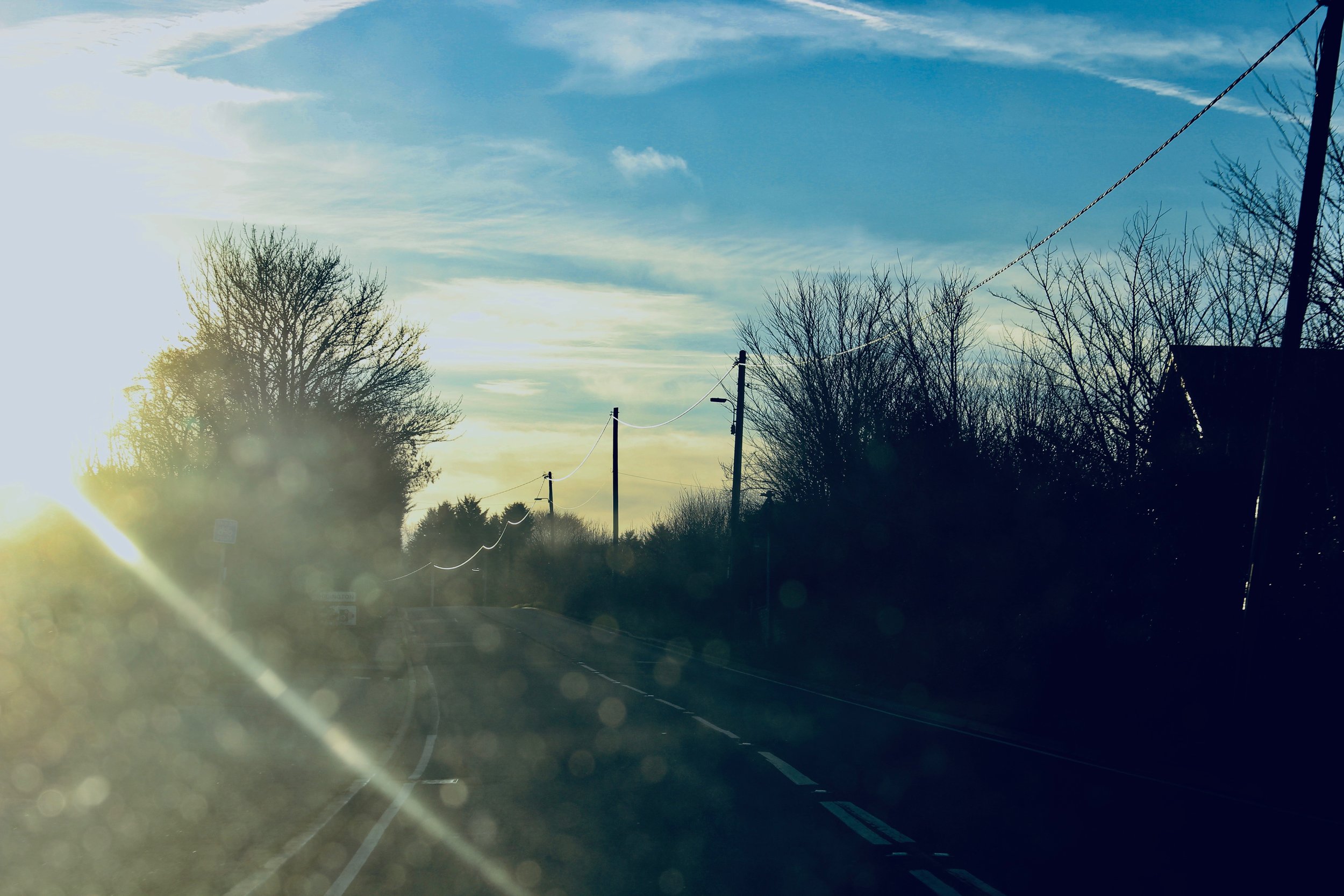 IMG_3968.jpeg