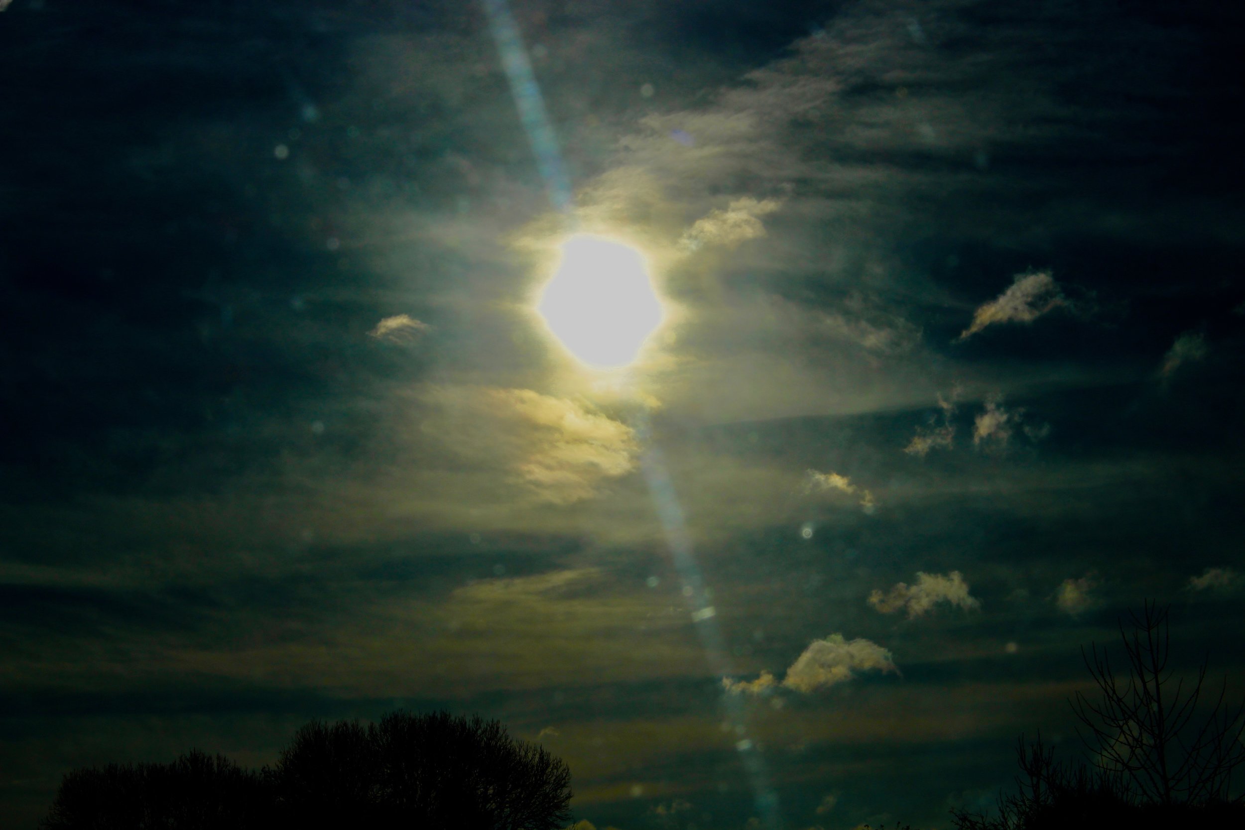 IMG_3918.jpeg
