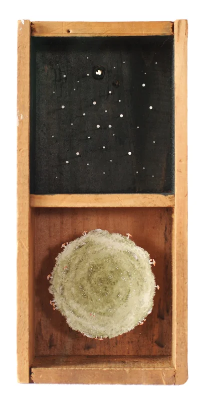 Contained, 2015