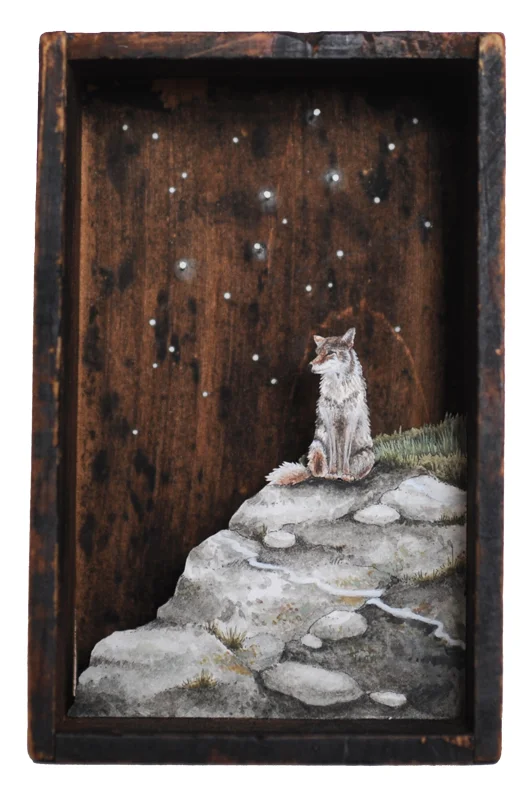 The Throne, Or, Cassiopeia and the Coyote, 2015