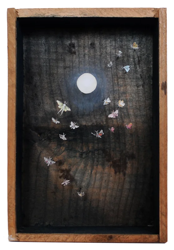 The Choice, 2015