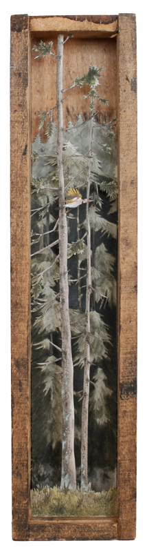 Flicker, 2015