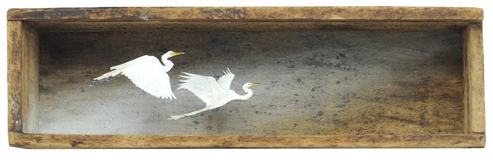Egrets, 2016