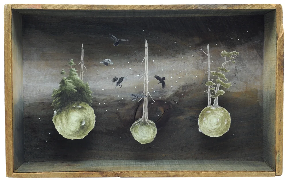 Transmigration, 2016