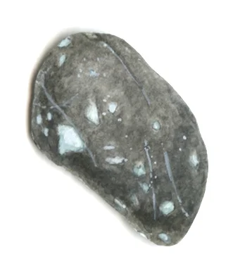 Bioconstellation 110
