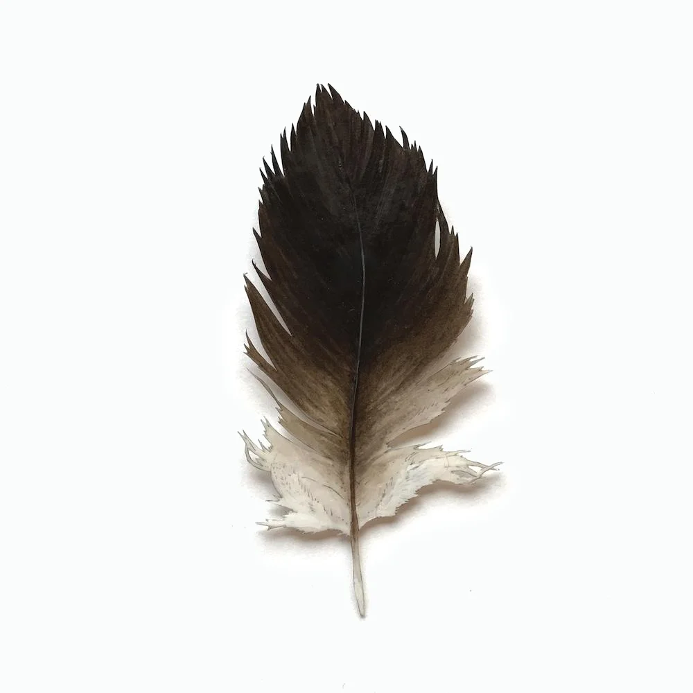 Allemansrätten 4, 2018