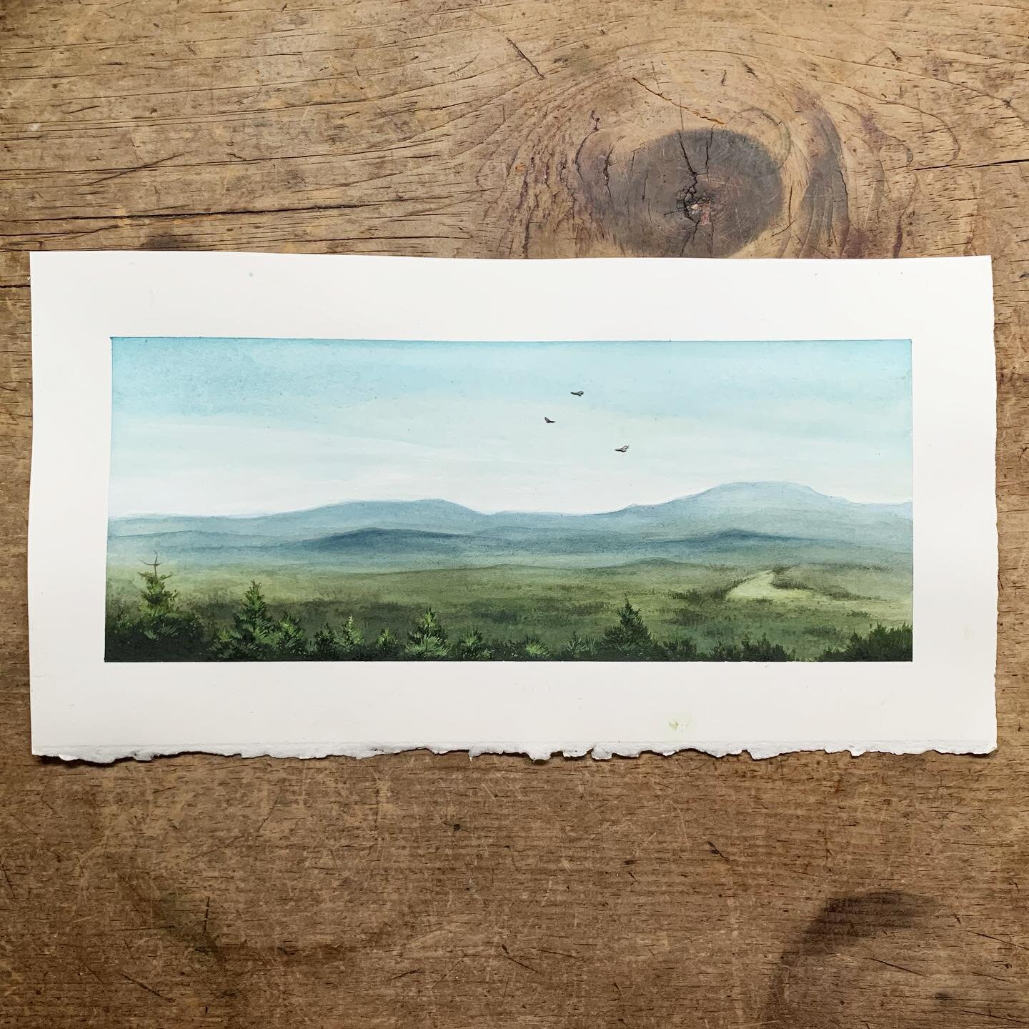 *SOLD* ❤️
Mount Agamenticus Study
watercolor on paper, with hand-cut vultures (which are also watercolor on paper)
4&rdquo;x10
$400

DM me to purchase!

Hey friends. I&rsquo;m on a bit of a mission to make my business more sustainable (i.e. move away
