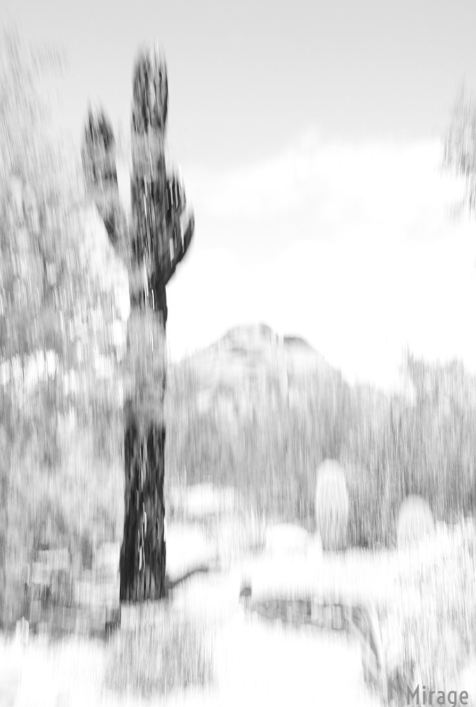 Screen Shot 2019-08-12 at 4.13.16 PM.png