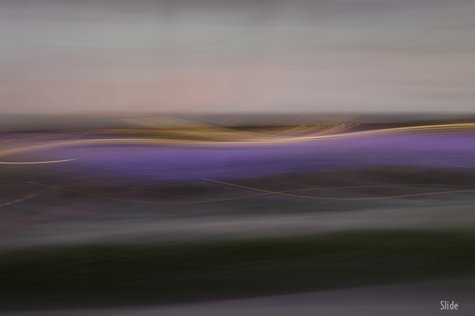 Screen Shot 2019-08-12 at 4.14.59 PM.png