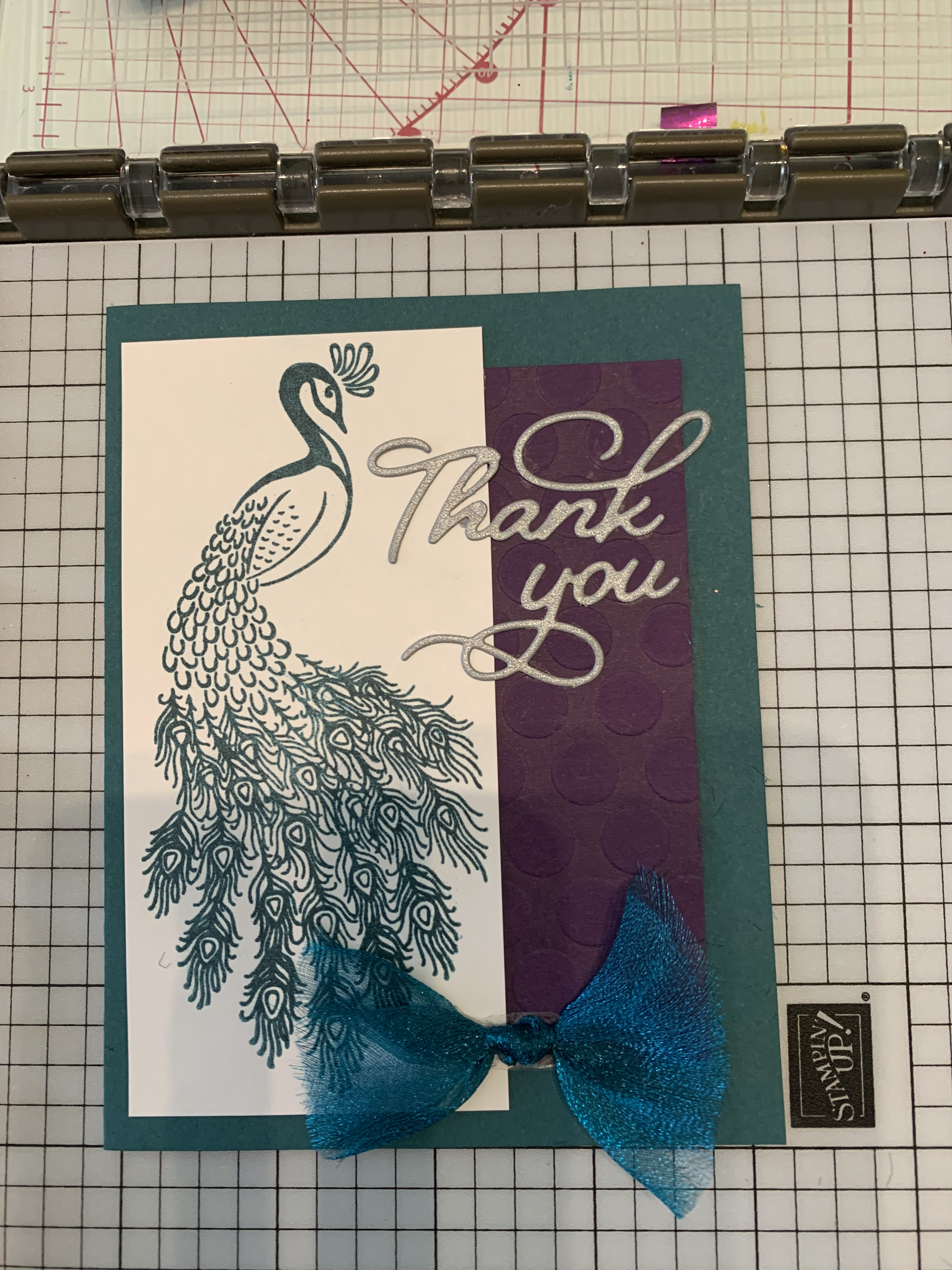 66553144984__B671982B-6A06-4875-B681-891867E74633 2.png