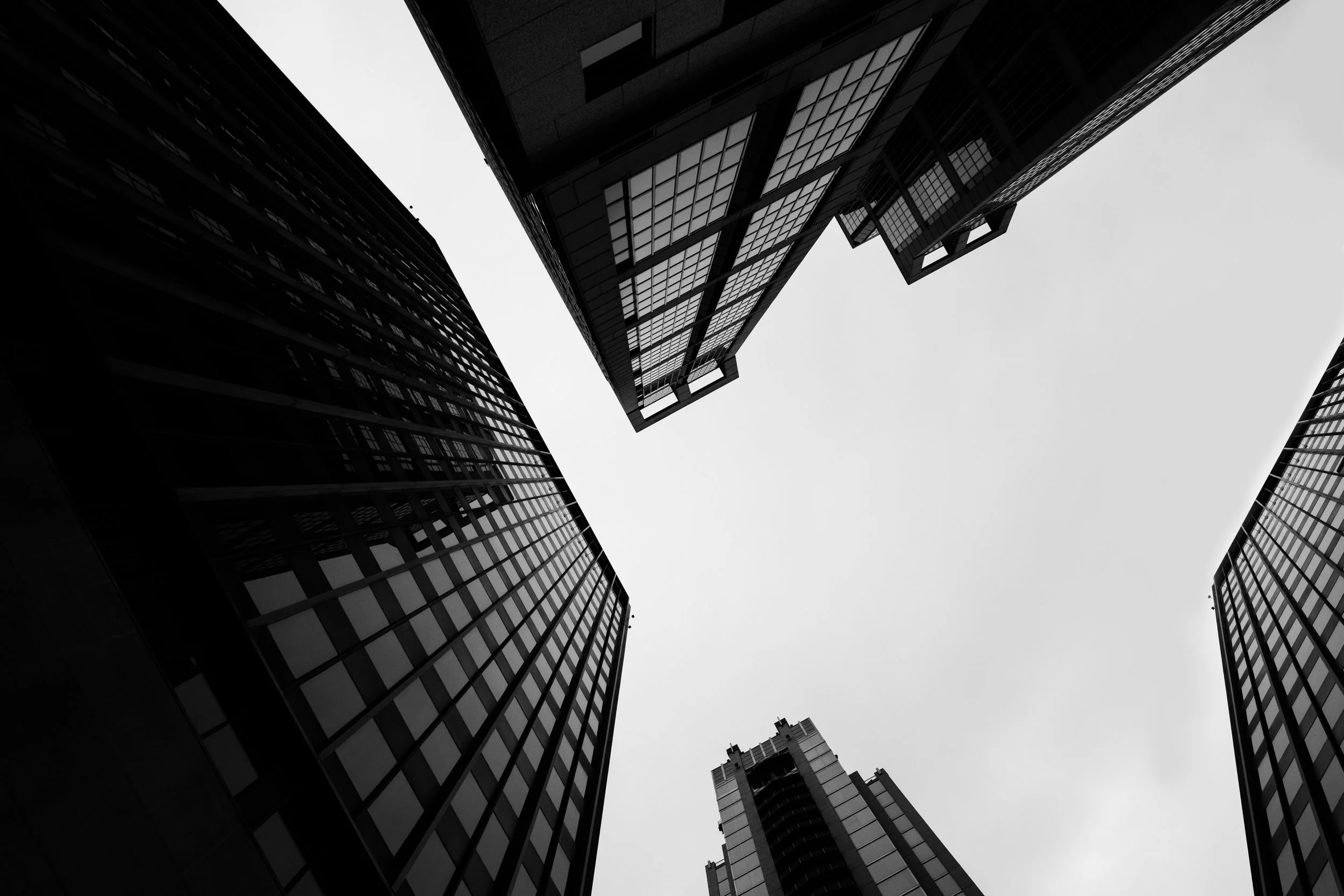 LOOK UP EDIT1 copy.jpg
