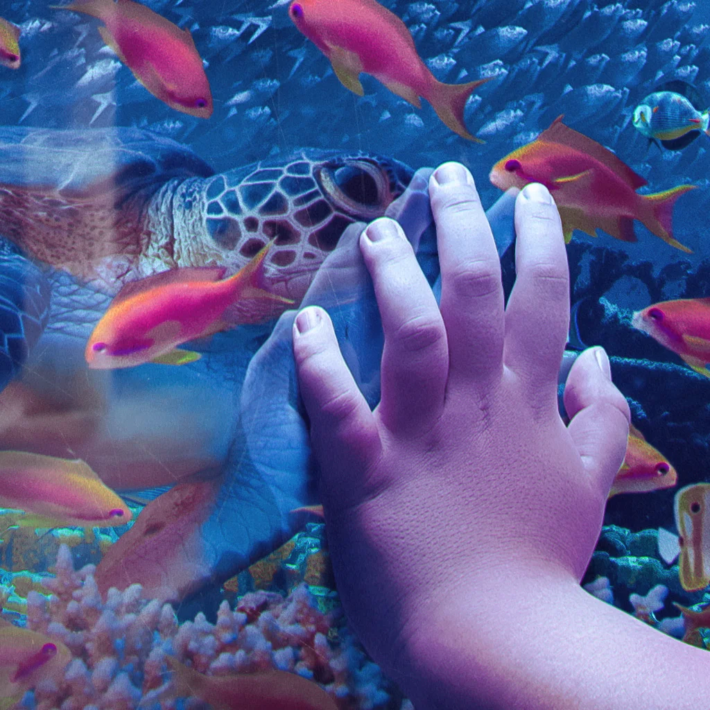 Yellow-Mello-AquaRio-03.jpg