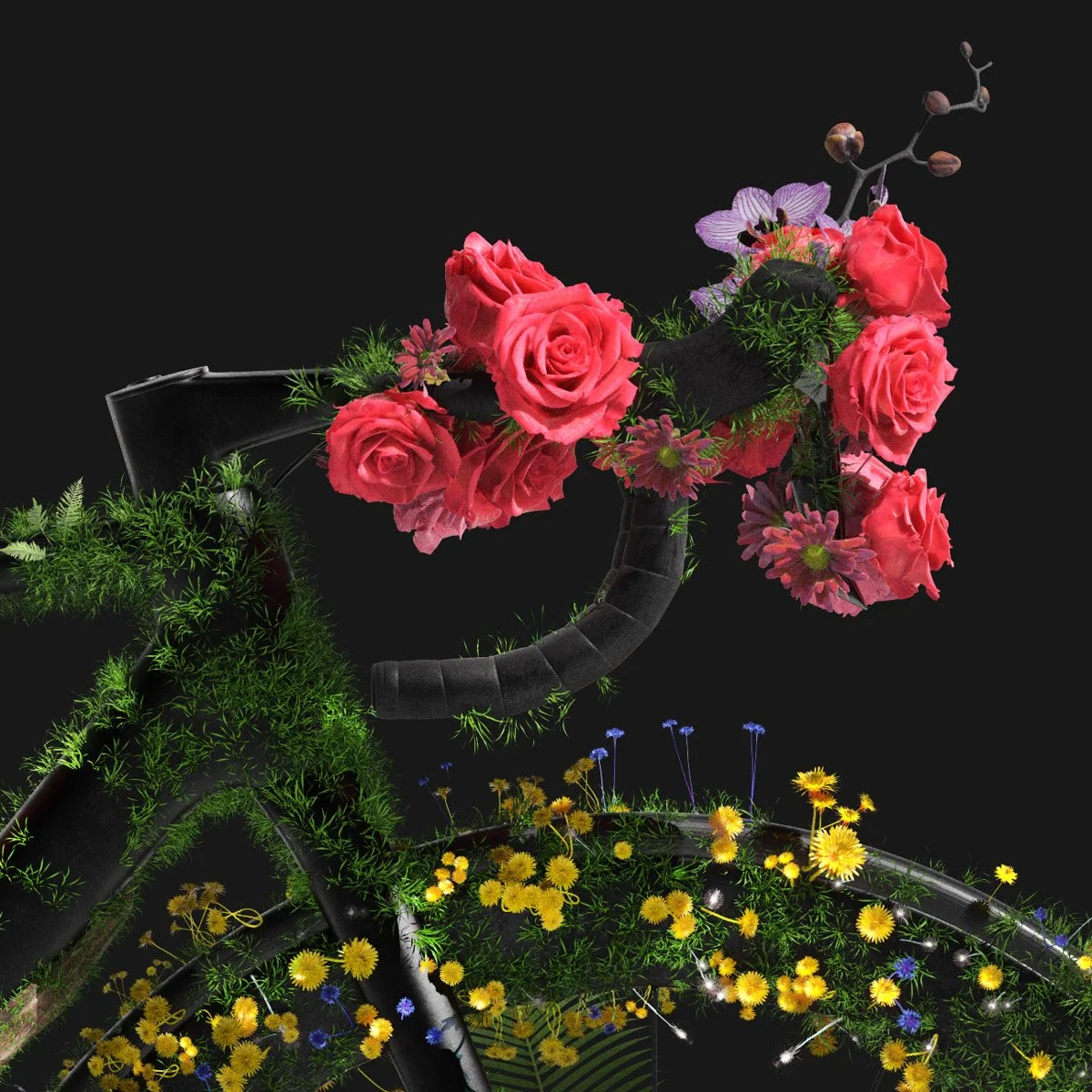 Yellow-Mello-Close-Plantas.jpg