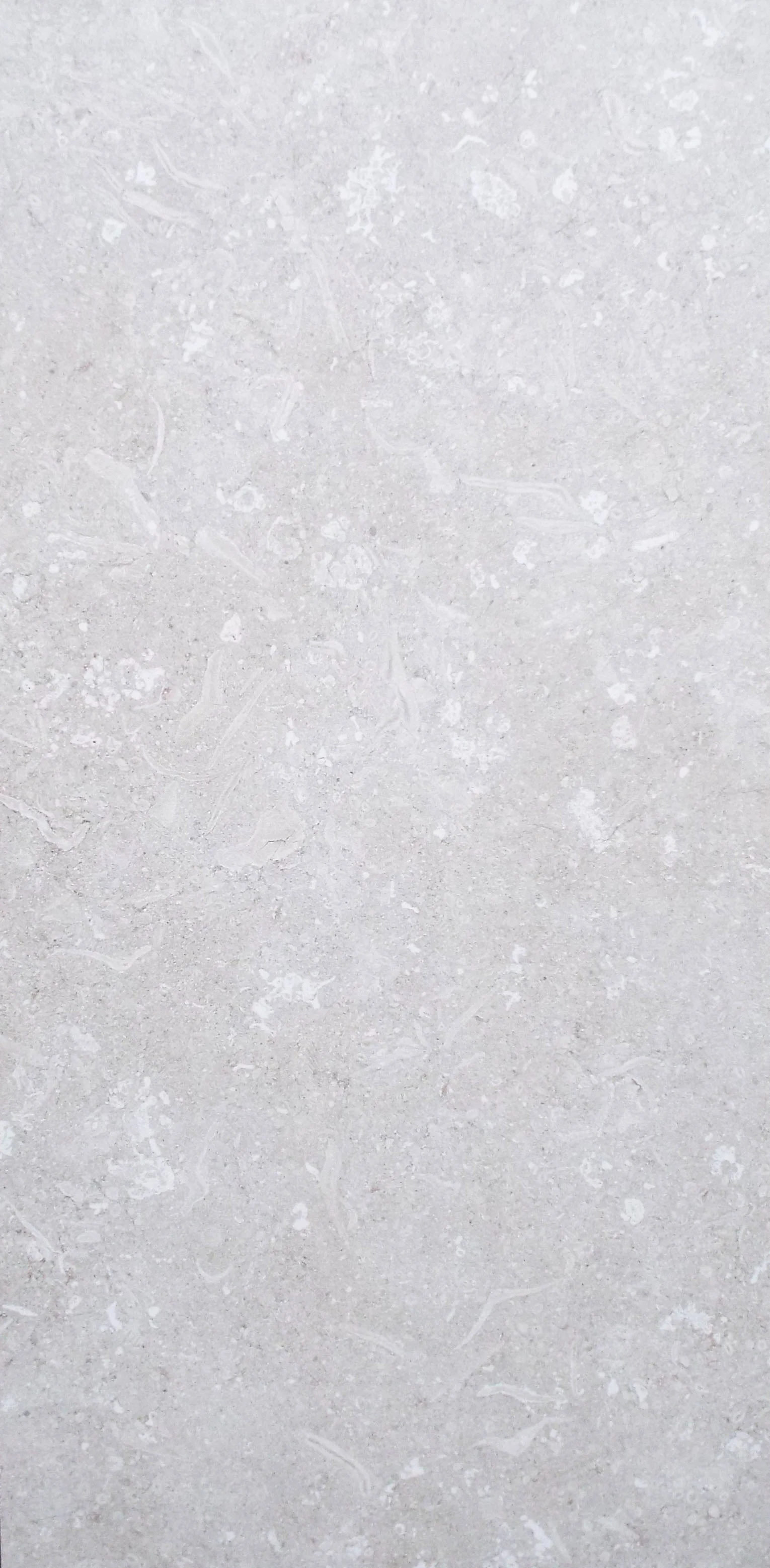 Fap Nord Artic 12"x24" -6 PC/CTN (11.63 SF); 40 CTN/PLT 2"x2" Mos -6 PC/CTN (5.81 SF)