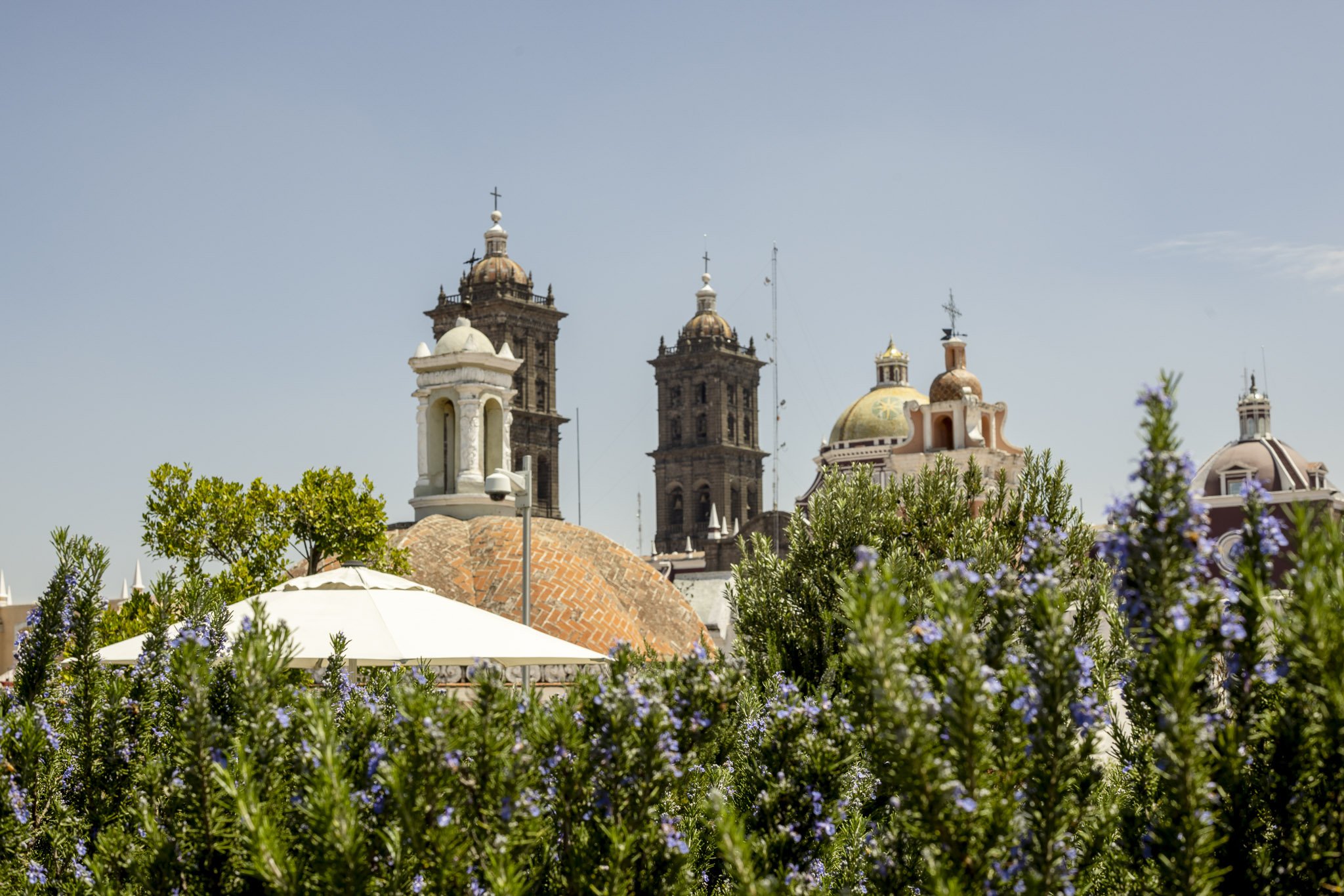 puebla_-172.jpg