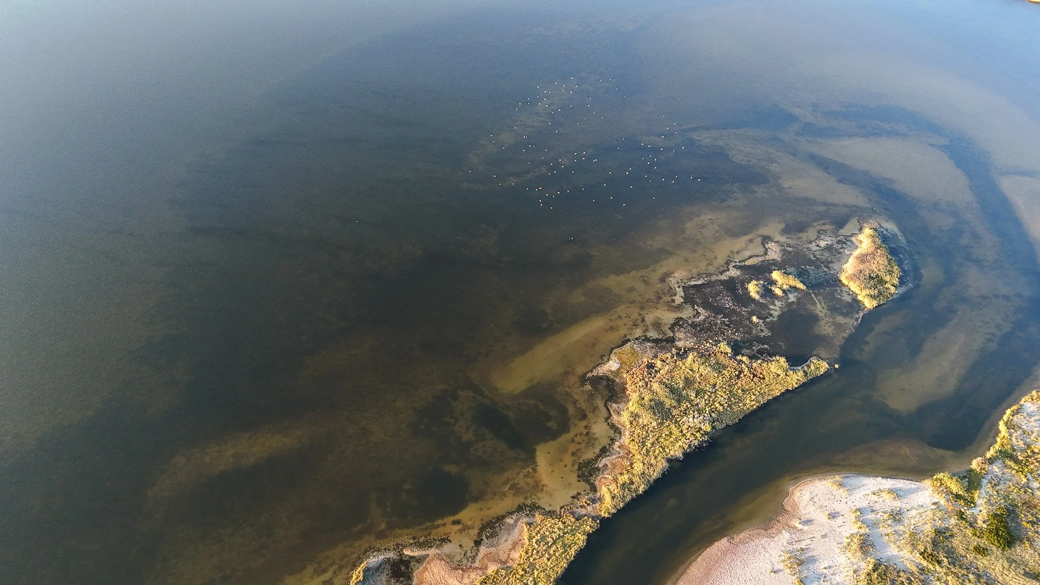 DJI_20250920182241_0016_D.jpg