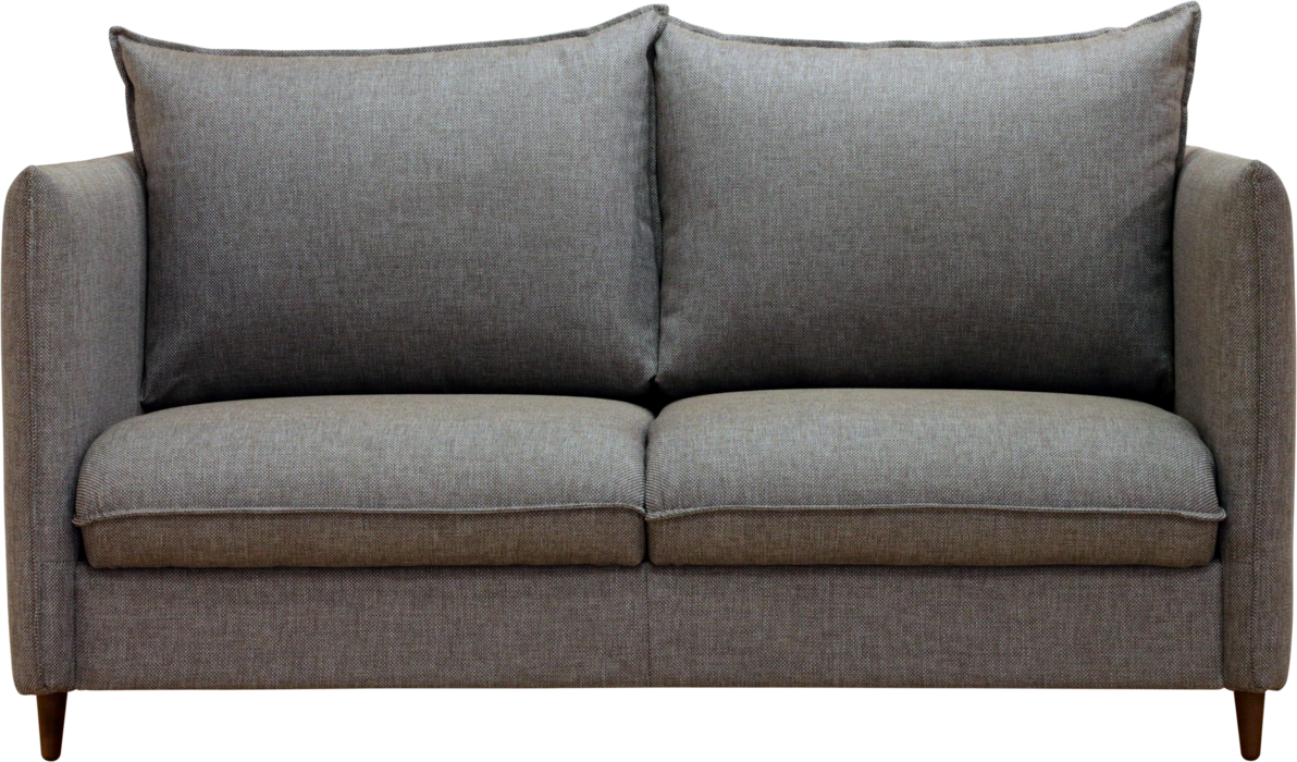    Flipper Loveseat Sleeper    