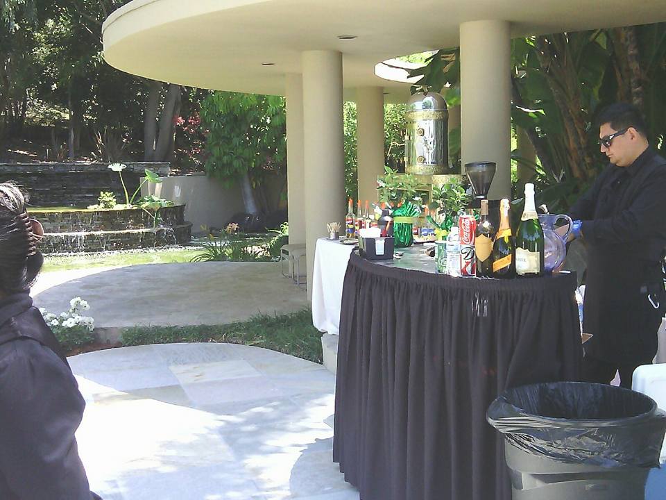 Backyard Bar