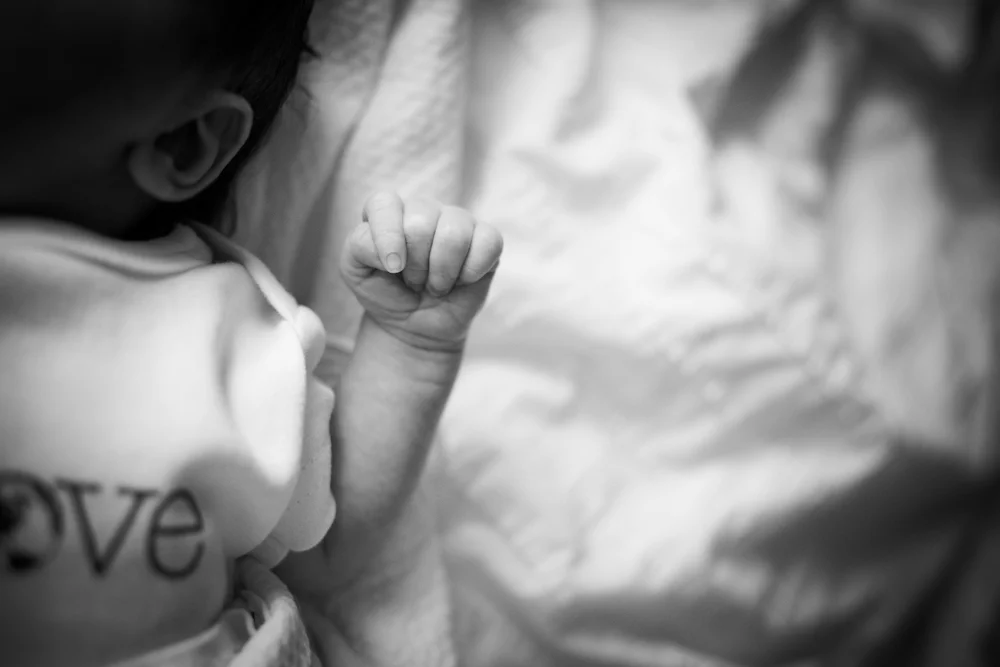 2014-MollyLandrethPhoto-W-58.jpg