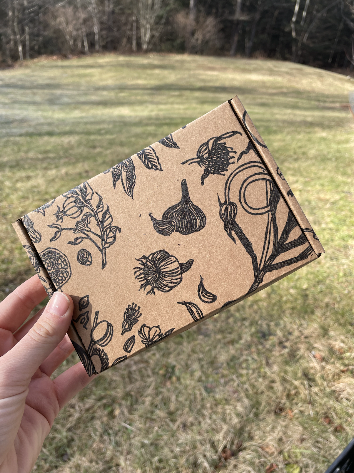 Screen Shot 2022-12-07 at 8.57.09 AM.png