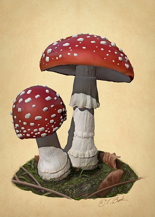 Illustration by Todd Buck.