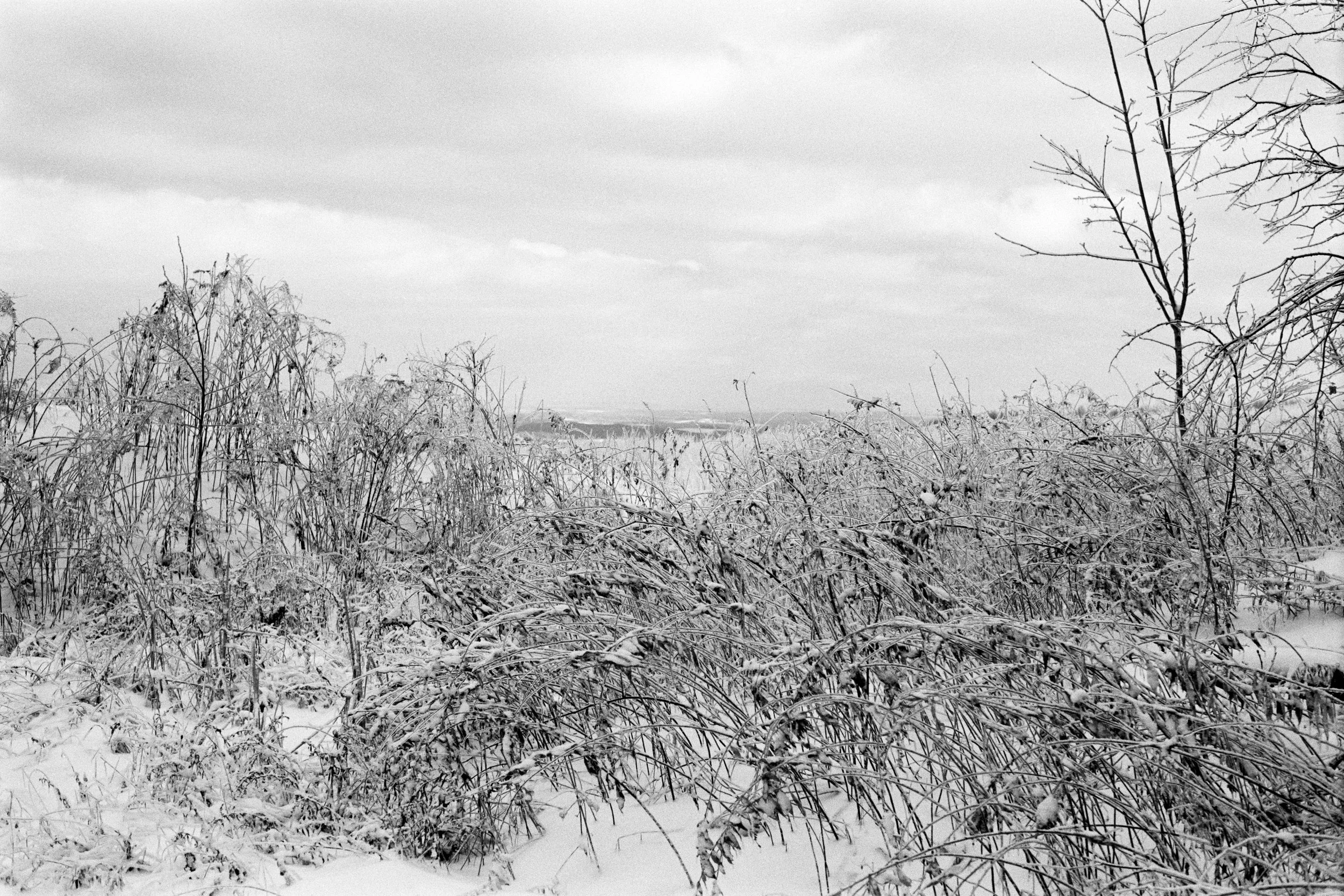 i35_11-28-13_4-9*.jpg